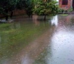465593_batajnica-poplava1-foto-z-lazarevic_kf
